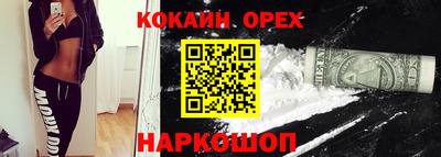 крисы Коммунар