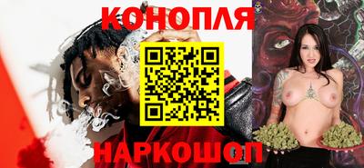 крисы Коммунар