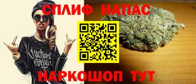 крисы Коммунар