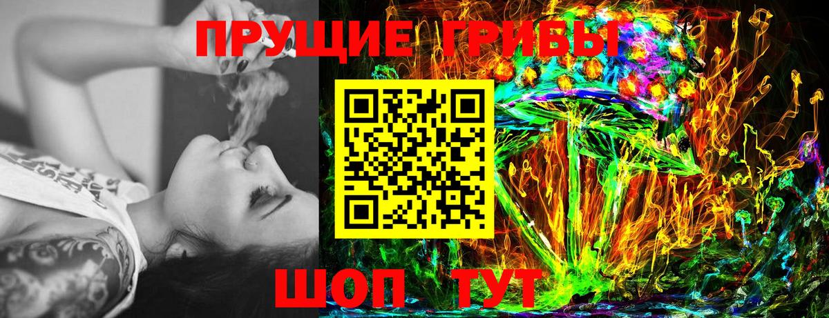 купить наркотики цена  Вход с VPN  Чайковский  Галлюциногенные грибы Magic Shrooms 