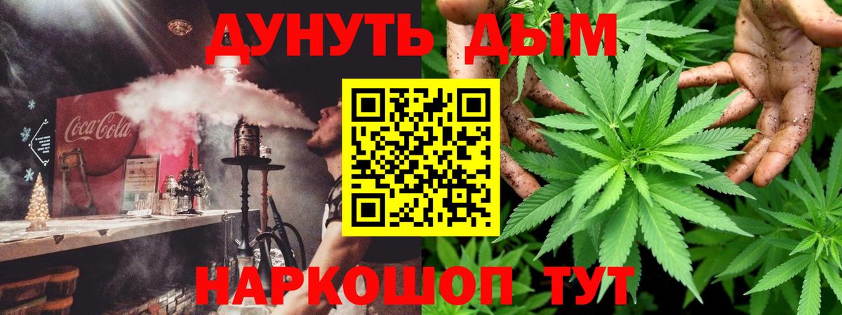 Конопля Bruce Banner  Марихуана марихуана  Чайковский  Марихуана марихуана  Вход с VPN  Шишки марихуана сатива 